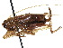  ( - CCDB-23291-H06)  @14 [ ] CreativeCommons - Attribution (2015) CBG Photography Group Centre for Biodiversity Genomics