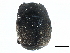  ( - CCDB-23292-G11)  @11 [ ] CreativeCommons - Attribution (2015) CBG Photography Group Centre for Biodiversity Genomics