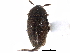  ( - CCDB-23294-E04)  @11 [ ] CreativeCommons - Attribution (2015) CBG Photography Group Centre for Biodiversity Genomics