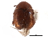  ( - CCDB-23294-H02)  @15 [ ] CreativeCommons - Attribution (2015) CBG Photography Group Centre for Biodiversity Genomics
