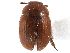  ( - CCDB-23294-H04)  @11 [ ] CreativeCommons - Attribution (2015) CBG Photography Group Centre for Biodiversity Genomics