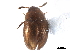  ( - CCDB-23295-C04)  @11 [ ] CreativeCommons - Attribution (2015) CBG Photography Group Centre for Biodiversity Genomics
