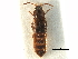  ( - CCDB-23295-G05)  @11 [ ] CreativeCommons - Attribution (2015) CBG Photography Group Centre for Biodiversity Genomics