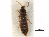  ( - CCDB-23295-G07)  @11 [ ] CreativeCommons - Attribution (2015) CBG Photography Group Centre for Biodiversity Genomics