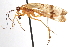  ( - CCDB-23299-B03)  @11 [ ] CreativeCommons - Attribution (2015) CBG Photography Group Centre for Biodiversity Genomics