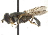  ( - CCDB-23301-B06)  @11 [ ] CreativeCommons - Attribution (2015) CBG Photography Group Centre for Biodiversity Genomics