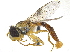  ( - CCDB-23301-C03)  @11 [ ] CreativeCommons - Attribution (2015) CBG Photography Group Centre for Biodiversity Genomics