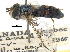  ( - CCDB-23301-C10)  @11 [ ] CreativeCommons - Attribution (2015) CBG Photography Group Centre for Biodiversity Genomics