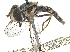  ( - CCDB-23301-D01)  @11 [ ] CreativeCommons - Attribution (2015) CBG Photography Group Centre for Biodiversity Genomics