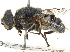  ( - CCDB-23301-E04)  @11 [ ] CreativeCommons - Attribution (2015) CBG Photography Group Centre for Biodiversity Genomics