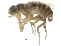  ( - CCDB-23301-E11)  @11 [ ] CreativeCommons - Attribution (2015) CBG Photography Group Centre for Biodiversity Genomics