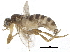  ( - CCDB-23301-E12)  @11 [ ] CreativeCommons - Attribution (2015) CBG Photography Group Centre for Biodiversity Genomics