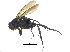  ( - CCDB-23301-F01)  @14 [ ] CreativeCommons - Attribution (2015) CBG Photography Group Centre for Biodiversity Genomics