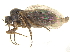  ( - CCDB-23301-F09)  @11 [ ] CreativeCommons - Attribution (2015) CBG Photography Group Centre for Biodiversity Genomics