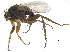  ( - CCDB-23301-F11)  @11 [ ] CreativeCommons - Attribution (2015) CBG Photography Group Centre for Biodiversity Genomics