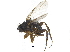  ( - CCDB-23301-F12)  @14 [ ] CreativeCommons - Attribution (2015) CBG Photography Group Centre for Biodiversity Genomics