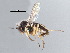  ( - CCDB-23302-B02)  @11 [ ] CreativeCommons - Attribution (2015) CBG Photography Group Centre for Biodiversity Genomics