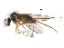  ( - CCDB-23302-C02)  @13 [ ] CreativeCommons - Attribution (2015) CBG Photography Group Centre for Biodiversity Genomics