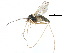  ( - CCDB-23302-C07)  @14 [ ] CreativeCommons - Attribution (2015) CBG Photography Group Centre for Biodiversity Genomics