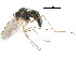  ( - CCDB-23302-C10)  @11 [ ] CreativeCommons - Attribution (2015) CBG Photography Group Centre for Biodiversity Genomics