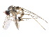  ( - CCDB-23302-E07)  @11 [ ] CreativeCommons - Attribution (2015) CBG Photography Group Centre for Biodiversity Genomics