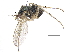  ( - CCDB-23303-B05)  @11 [ ] CreativeCommons - Attribution (2015) CBG Photography Group Centre for Biodiversity Genomics