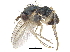  ( - CCDB-23303-B06)  @11 [ ] CreativeCommons - Attribution (2015) CBG Photography Group Centre for Biodiversity Genomics