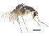 ( - CCDB-23303-B07)  @11 [ ] CreativeCommons - Attribution (2015) CBG Photography Group Centre for Biodiversity Genomics