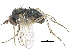  ( - CCDB-23303-B08)  @15 [ ] CreativeCommons - Attribution (2015) CBG Photography Group Centre for Biodiversity Genomics