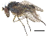  ( - CCDB-23303-D04)  @11 [ ] CreativeCommons - Attribution (2015) CBG Photography Group Centre for Biodiversity Genomics