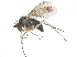  ( - CCDB-23303-D10)  @14 [ ] CreativeCommons - Attribution (2015) CBG Photography Group Centre for Biodiversity Genomics