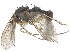  ( - CCDB-23303-D11)  @11 [ ] CreativeCommons - Attribution (2015) CBG Photography Group Centre for Biodiversity Genomics