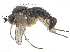  ( - CCDB-23303-E08)  @11 [ ] CreativeCommons - Attribution (2015) CBG Photography Group Centre for Biodiversity Genomics