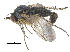  ( - CCDB-23303-E10)  @11 [ ] CreativeCommons - Attribution (2015) CBG Photography Group Centre for Biodiversity Genomics