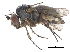  ( - CCDB-23303-F11)  @11 [ ] CreativeCommons - Attribution (2015) CBG Photography Group Centre for Biodiversity Genomics