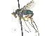  ( - CCDB-23303-H02)  @13 [ ] CreativeCommons - Attribution (2015) CBG Photography Group Centre for Biodiversity Genomics