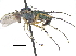  ( - CCDB-23303-H04)  @11 [ ] CreativeCommons - Attribution (2015) CBG Photography Group Centre for Biodiversity Genomics