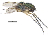  ( - CCDB-23305-E01)  @13 [ ] CreativeCommons - Attribution (2015) CBG Photography Group Centre for Biodiversity Genomics