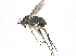 ( - CCDB-23305-E02)  @14 [ ] CreativeCommons - Attribution (2015) CBG Photography Group Centre for Biodiversity Genomics