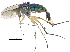  ( - CCDB-23305-E04)  @13 [ ] CreativeCommons - Attribution (2015) CBG Photography Group Centre for Biodiversity Genomics