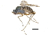  ( - CCDB-23305-G03)  @11 [ ] CreativeCommons - Attribution (2015) CBG Photography Group Centre for Biodiversity Genomics