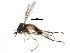  ( - CCDB-23306-B08)  @11 [ ] CreativeCommons - Attribution (2015) CBG Photography Group Centre for Biodiversity Genomics