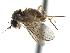  ( - CCDB-23306-B12)  @11 [ ] CreativeCommons - Attribution (2015) CBG Photography Group Centre for Biodiversity Genomics