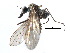  ( - CCDB-23306-G11)  @11 [ ] CreativeCommons - Attribution (2015) CBG Photography Group Centre for Biodiversity Genomics