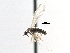  ( - CCDB-23306-H08)  @12 [ ] CreativeCommons - Attribution (2015) CBG Photography Group Centre for Biodiversity Genomics