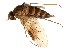  ( - CCDB-23502-C10)  @11 [ ] CreativeCommons - Attribution (2015) CBG Photography Group Centre for Biodiversity Genomics