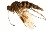  ( - CCDB-23502-C12)  @14 [ ] CreativeCommons - Attribution (2015) CBG Photography Group Centre for Biodiversity Genomics