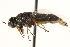  ( - CCDB-23502-E12)  @11 [ ] CreativeCommons - Attribution (2015) CBG Photography Group Centre for Biodiversity Genomics