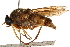  ( - CCDB-23502-F06)  @11 [ ] CreativeCommons - Attribution (2015) CBG Photography Group Centre for Biodiversity Genomics
