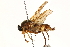  ( - CCDB-23502-F07)  @11 [ ] CreativeCommons - Attribution (2015) CBG Photography Group Centre for Biodiversity Genomics